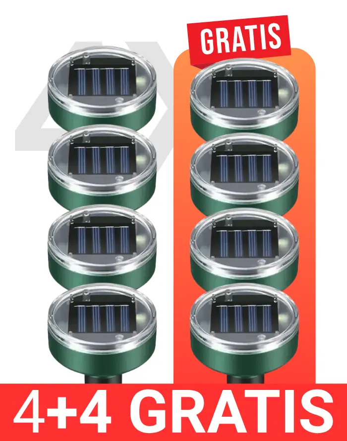 order-image